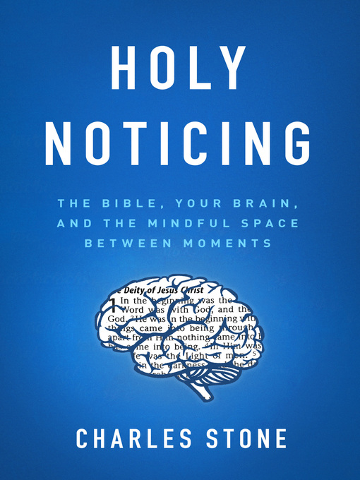 Title details for Holy Noticing by Charles Stone - Wait list